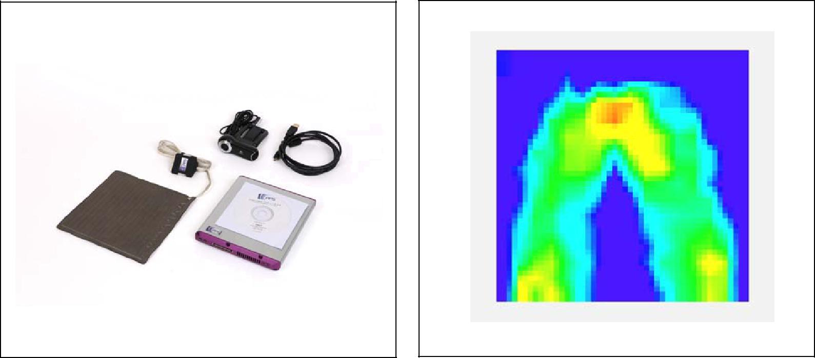 ʽѹֲϵͳBPMS